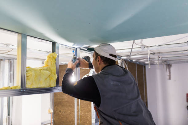 Types of Insulation We Offer in Chaffee, MO