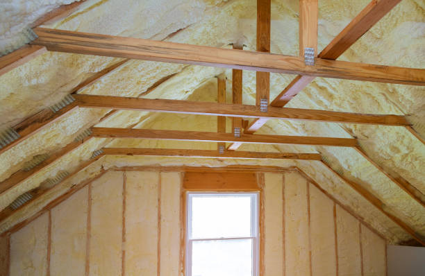 Best Residential Insulation in Chaffee, MO