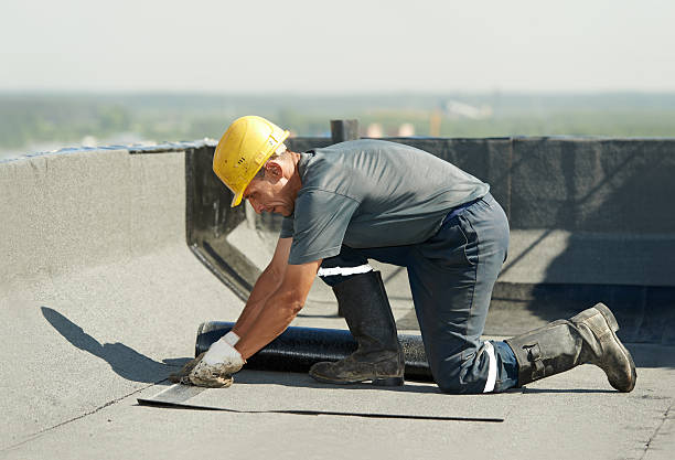 Best Geographic-Specific Insulation Services in Chaffee, MO